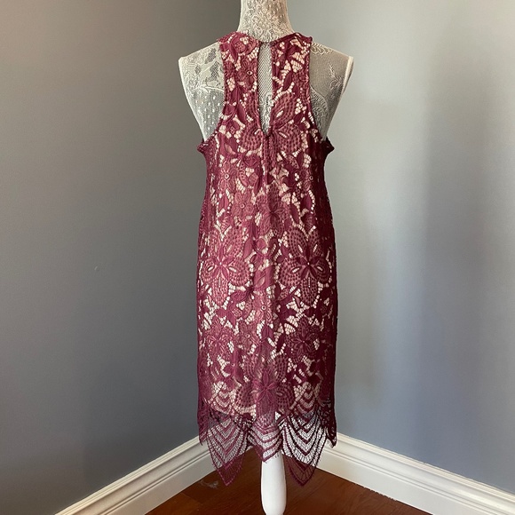 Express Lace Shift Dress - Picture 5 of 13